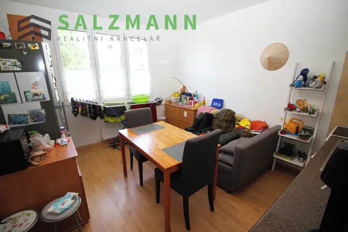 Pronájem bytu 1+1, Dýšina, K Chlumu, 42 m2