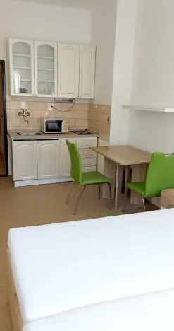 Pronájem bytu 1+kk, Praha - Vinohrady, Ondříčkova, 31 m2
