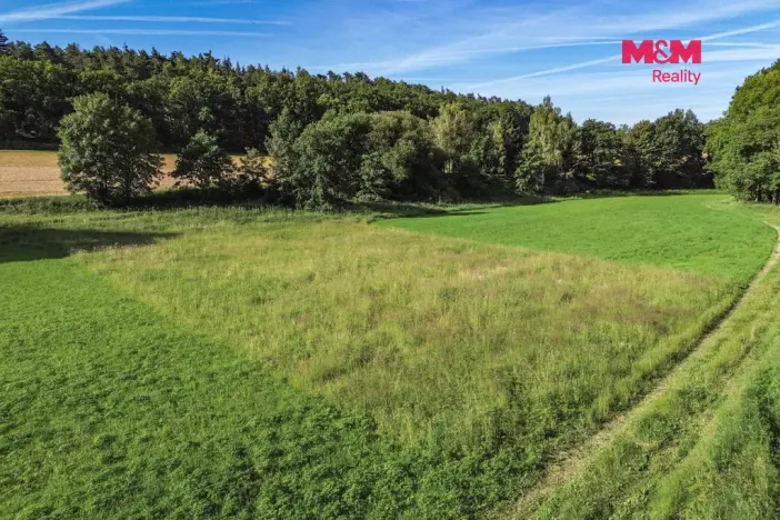 Pronájem louky, Plzeň - Koterov, 3297 m2