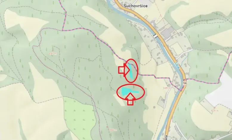 Prodej lesa, Úpice, 4730 m2