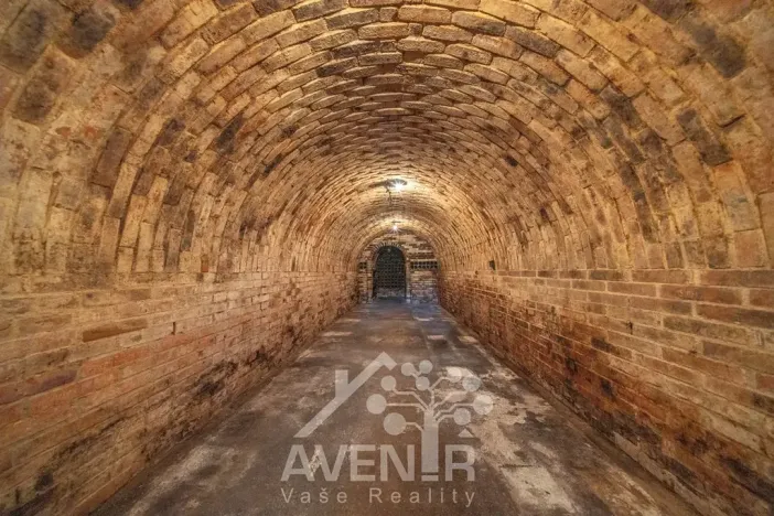 Prodej vinného sklepa, Čejkovice, 84 m2