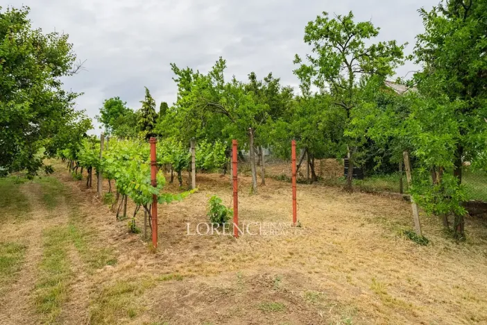 Prodej rodinného domu, Nový Poddvorov, 104 m2