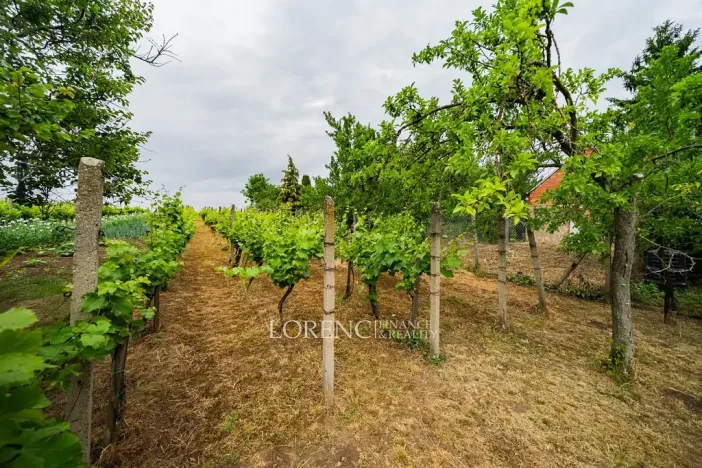 Prodej rodinného domu, Nový Poddvorov, 104 m2
