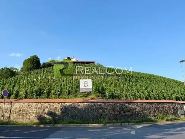 Prodej bytu 3+1, Praha - Troja, Trojská, 88 m2