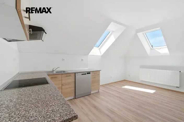 Prodej vícegeneračního domu, Kasejovice, 250 m2