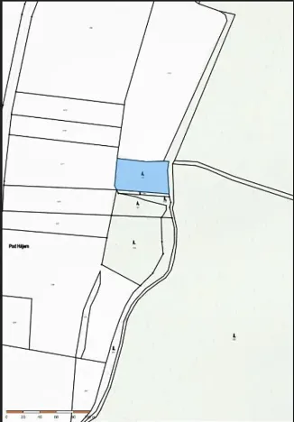 Prodej lesa, Horosedly, 2335 m2