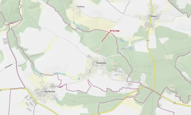 Dražba lesa, Kladruby, 287 m2