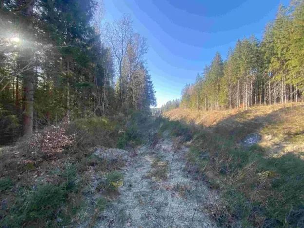 Dražba pozemku, Železná Ruda, 1644 m2