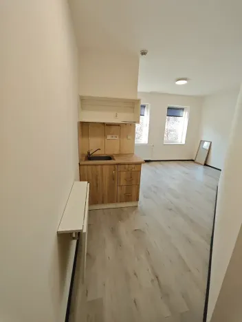 Pronájem bytu 1+kk, Praha - Hlubočepy, Na Zlíchově, 18 m2