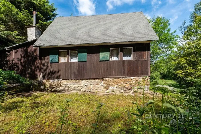 Prodej chaty, Dolní Dvořiště, 50 m2