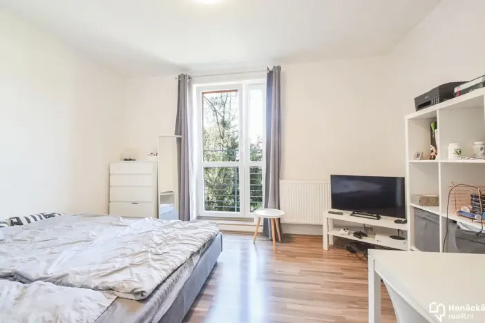 Pronájem bytu 1+kk, Olomouc, Schweitzerova, 24 m2