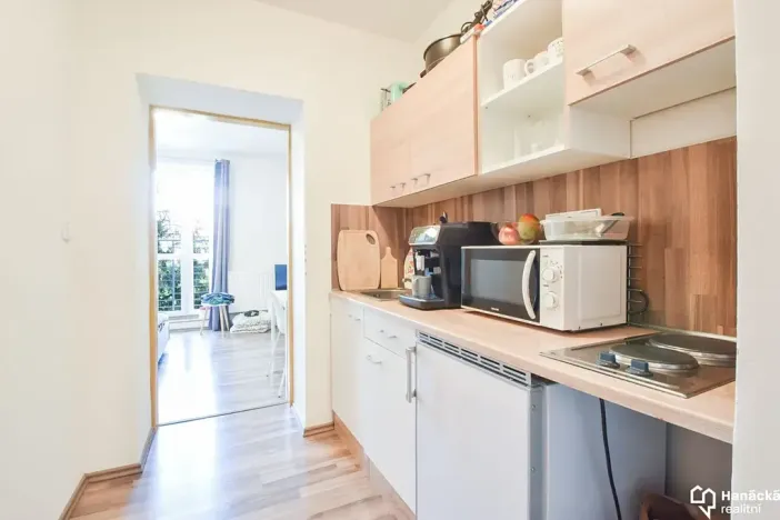 Pronájem bytu 1+kk, Olomouc, Schweitzerova, 24 m2
