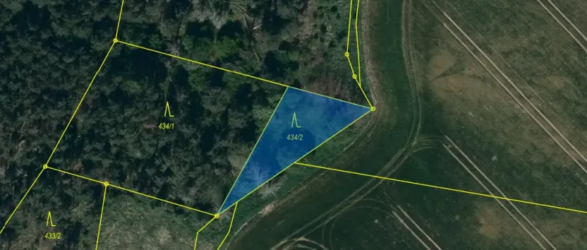 Prodej lesa, Slavičky - Pozďátky, 560 m2