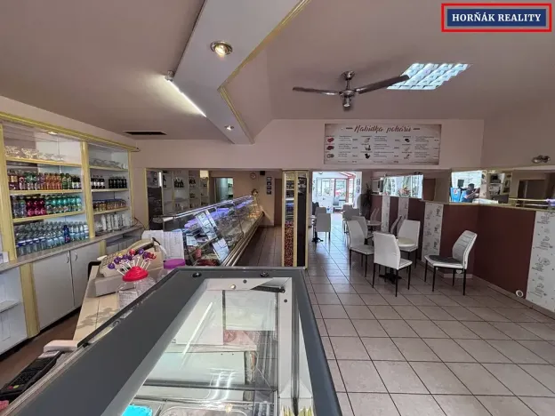 Pronájem komerční nemovitosti, Bučovice, Slavkovská, 101 m2