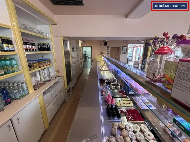 Pronájem komerční nemovitosti, Bučovice, Slavkovská, 101 m2