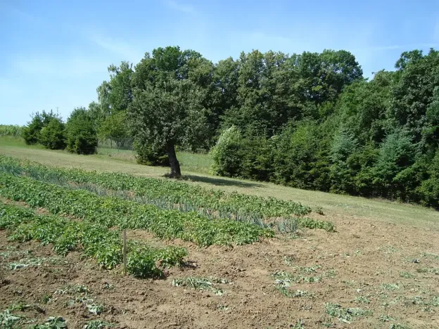 Prodej rodinného domu, Diváky, 280 m2