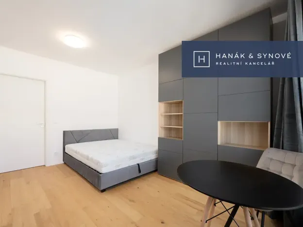 Pronájem bytu 1+kk, Brno, Bratislavská, 24 m2