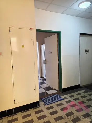 Pronájem bytu 1+kk, Praha - Nusle, Spolupráce, 32 m2