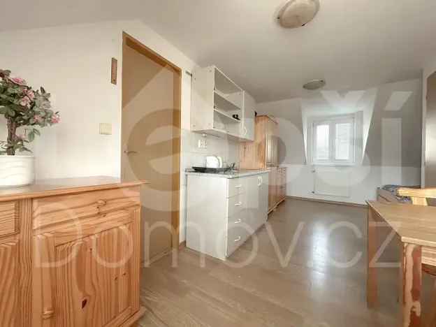Prodej ubytování, Zlaté Hory, 330 m2