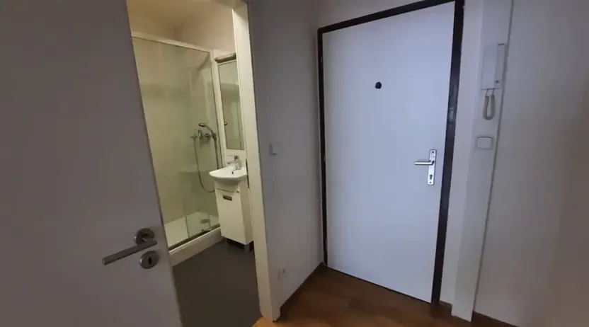 Prodej bytu 1+kk, Praha - Hodkovičky, Pod lysinami, 30 m2