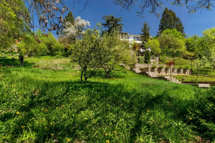 Prodej pozemku pro bydlení, Brno, 3243 m2