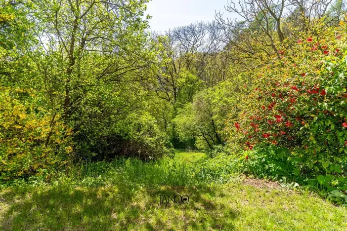 Prodej pozemku pro bydlení, Brno, 3243 m2