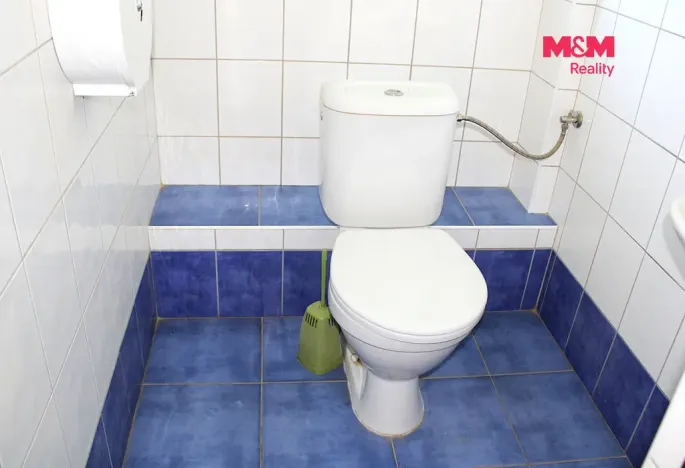 Pronájem obchodního prostoru, Nová Paka, Kotíkova, 330 m2