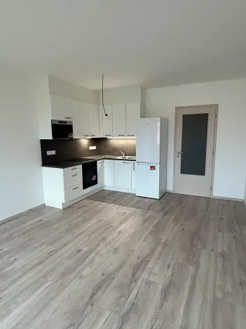 Pronájem bytu 1+kk, Písek, Pražská, 38 m2
