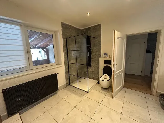 Dražba rodinného domu, Proseč, Budislavská, 220 m2