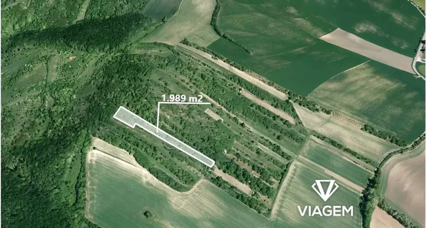 Prodej zahrady, Klobouky u Brna, 1989 m2