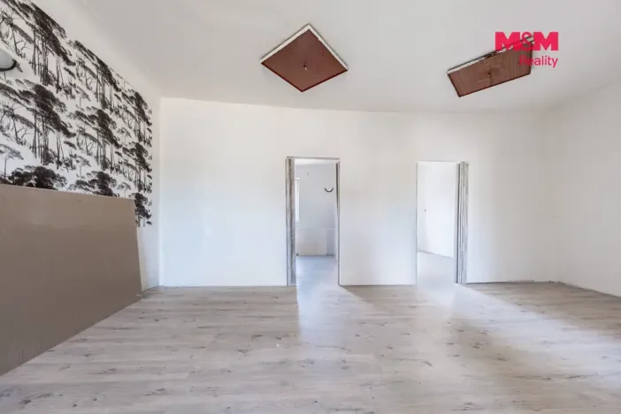 Prodej rodinného domu, Skršín - Dobrčice, 690 m2