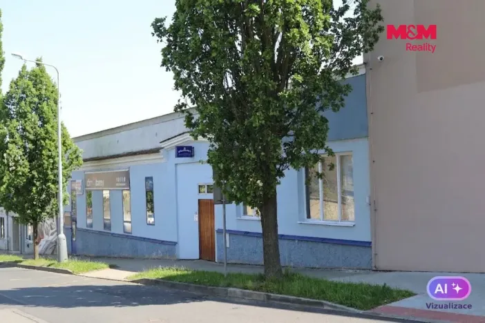 Prodej obchodního prostoru, Mělník, Krombholcova, 300 m2