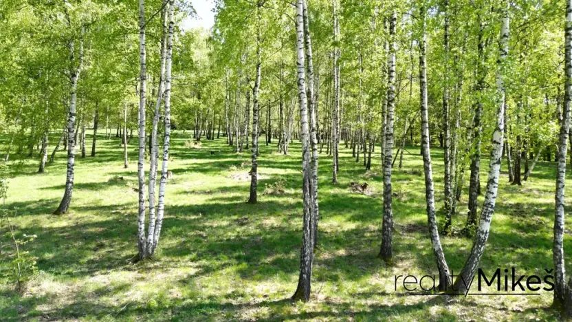 Prodej rodinného domu, Křižany, 470 m2