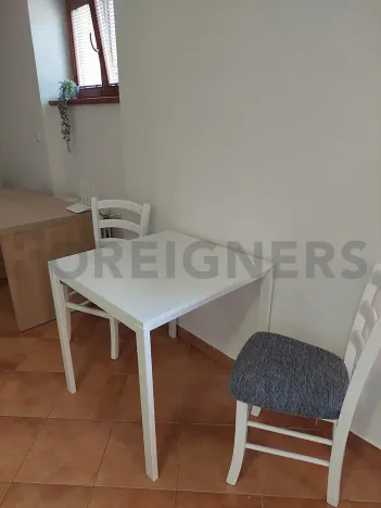 Pronájem bytu 1+kk, Olomouc, Panská, 25 m2