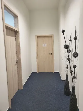 Pronájem kanceláře, Brno, Cejl, 21 m2
