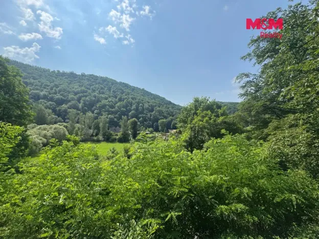 Prodej chaty, Nezabudice, 1441 m2