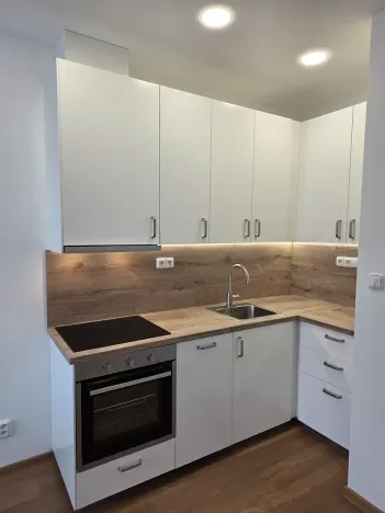 Pronájem bytu 2+kk, Praha - Vinohrady, Nad olšinami, 47 m2
