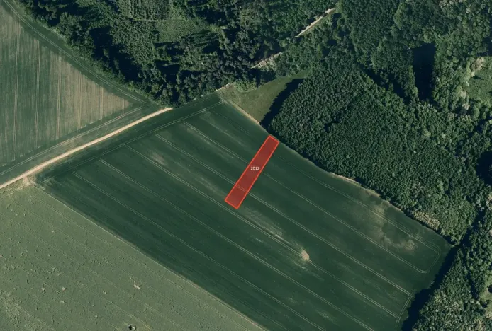 Prodej podílu pole, Pačlavice, 13193 m2