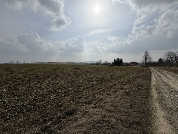 Prodej pole, Toužim - Kojšovice, 25962 m2