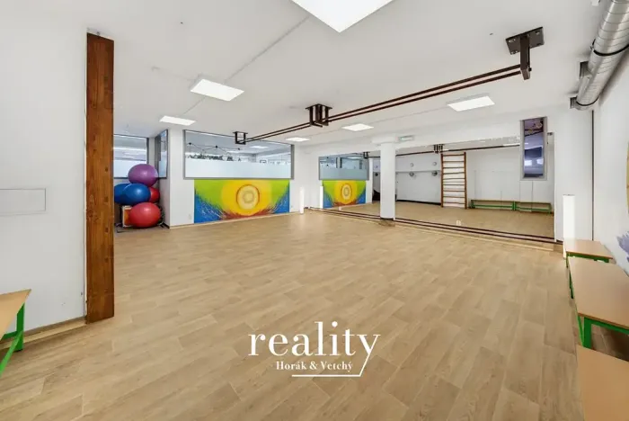 Prodej obchodního prostoru, Jihlava, Buková, 234 m2