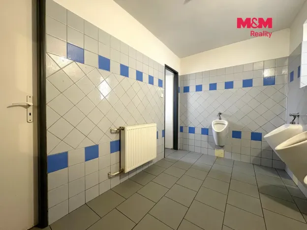Prodej rodinného domu, Velké Žernoseky, 438 m2