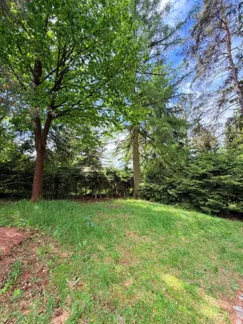 Prodej chaty, Borová, 53 m2