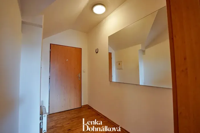 Pronájem bytu 3+kk, Hodonín, 115 m2