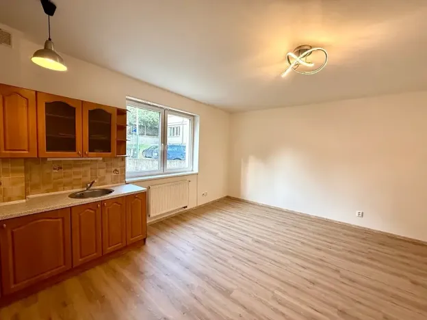 Pronájem bytu 1+kk, Praha - Libeň, Budilova, 39 m2