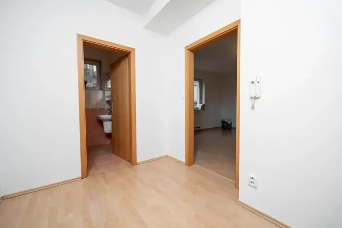 Pronájem bytu 1+kk, Praha - Libeň, Budilova, 39 m2