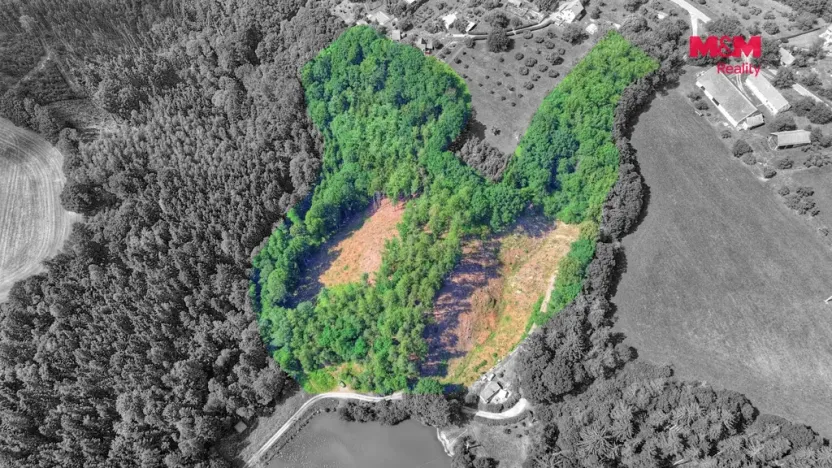 Prodej lesa, Ohnišov - Zákraví, 32996 m2