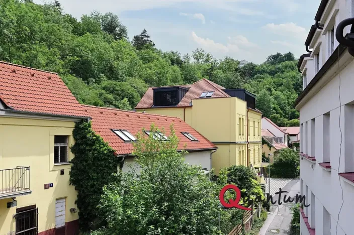Pronájem bytu 1+1, Praha - Braník, Branická, 47 m2