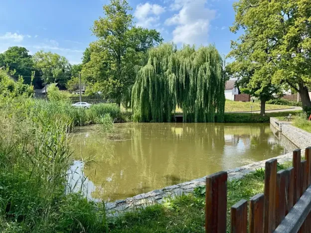 Pronájem bytu 2+kk, Pyšely, Pyšelská, 60 m2