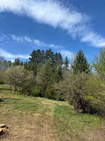 Prodej pozemku, Hrubá Skála - Doubravice, 2827 m2
