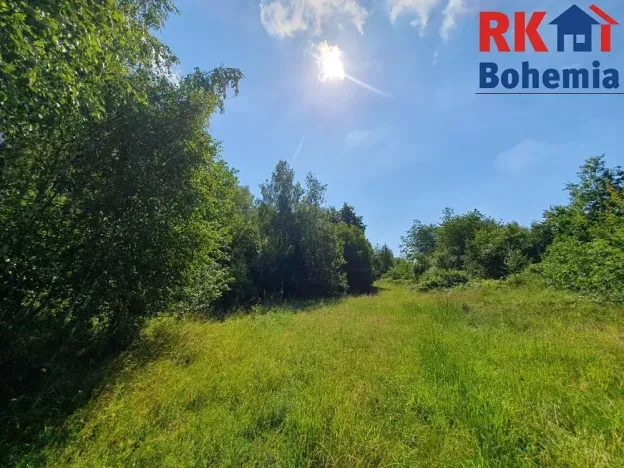 Prodej pozemku, Pertoltice pod Ralskem, 49299 m2